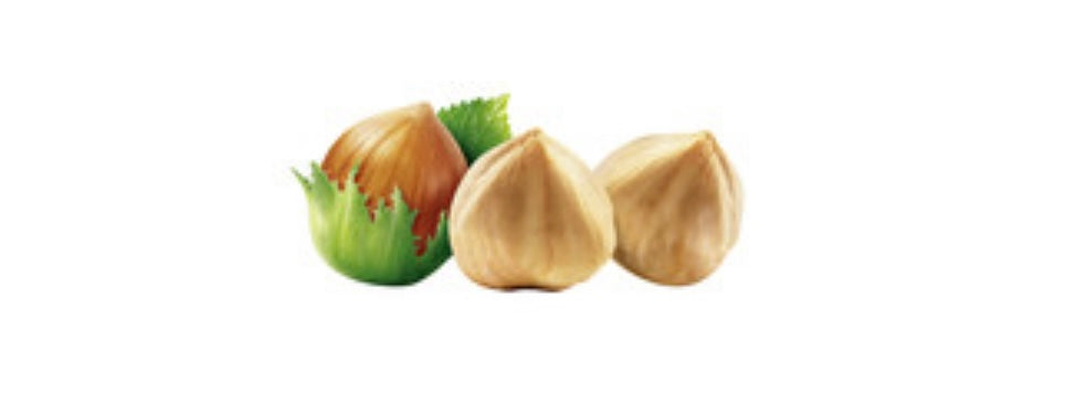 Ferrero Duplo Chocnut 26g 🇮🇹